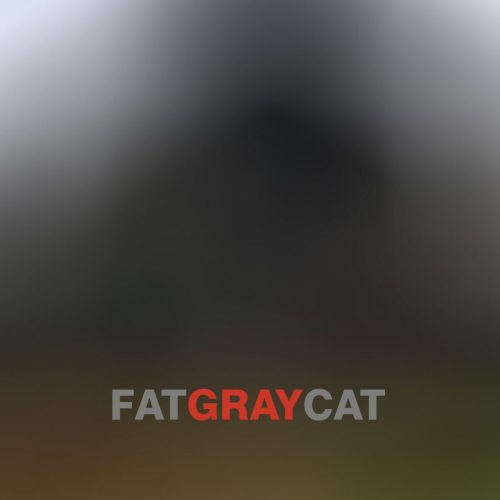 AZPX16: Fat Gray Cat "Self-Titled" CD