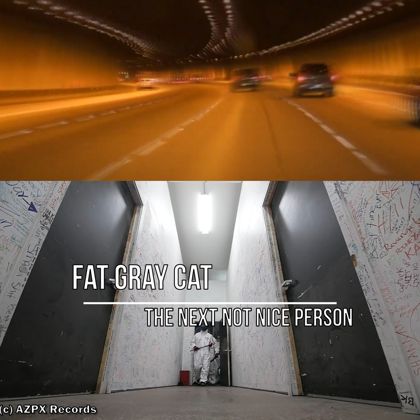 New Fat Gray Cat Video: The Next Not Nice Person