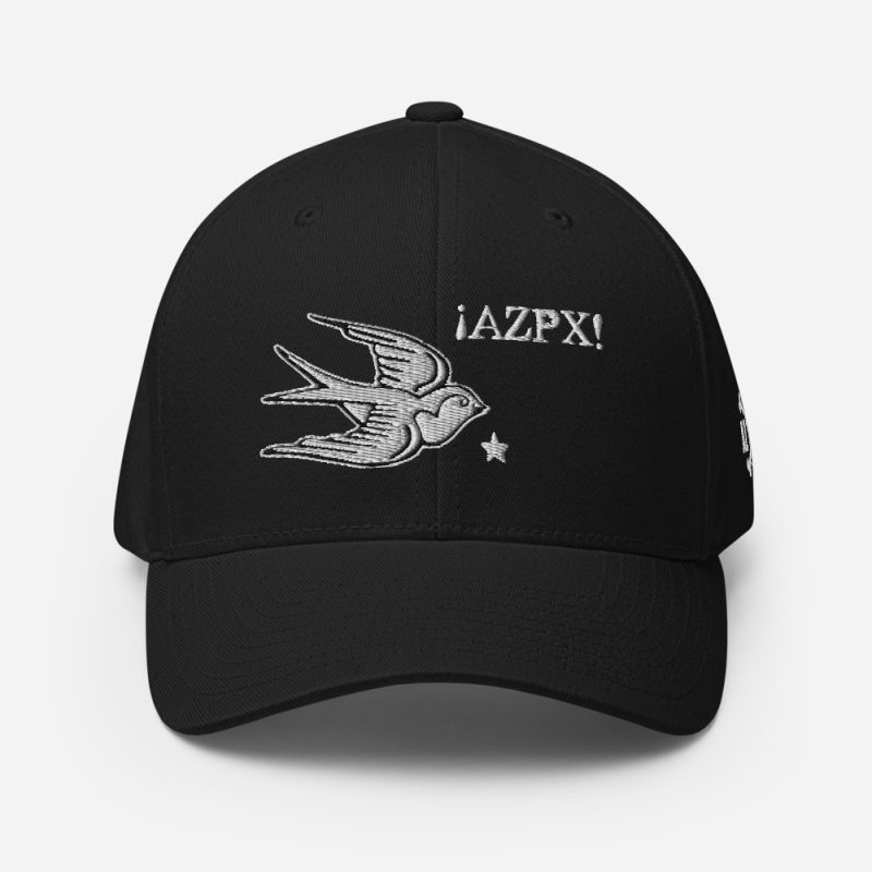 AZPX Swallow Flexfit Closed-Back Dad Hat - Image 3