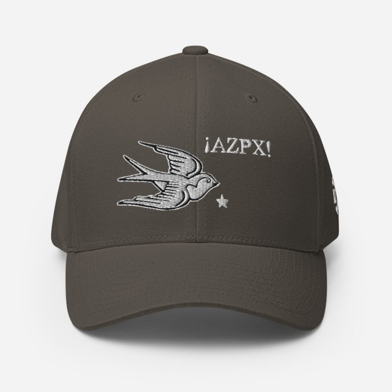 AZPX Swallow Flexfit Closed-Back Dad Hat - Image 9