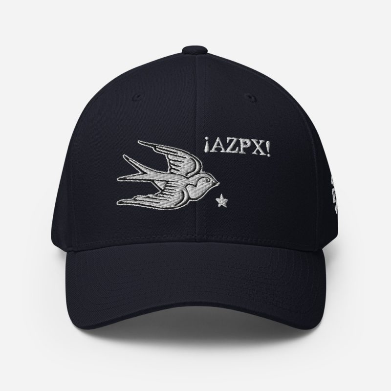 AZPX Swallow Flexfit Closed-Back Dad Hat - Image 5