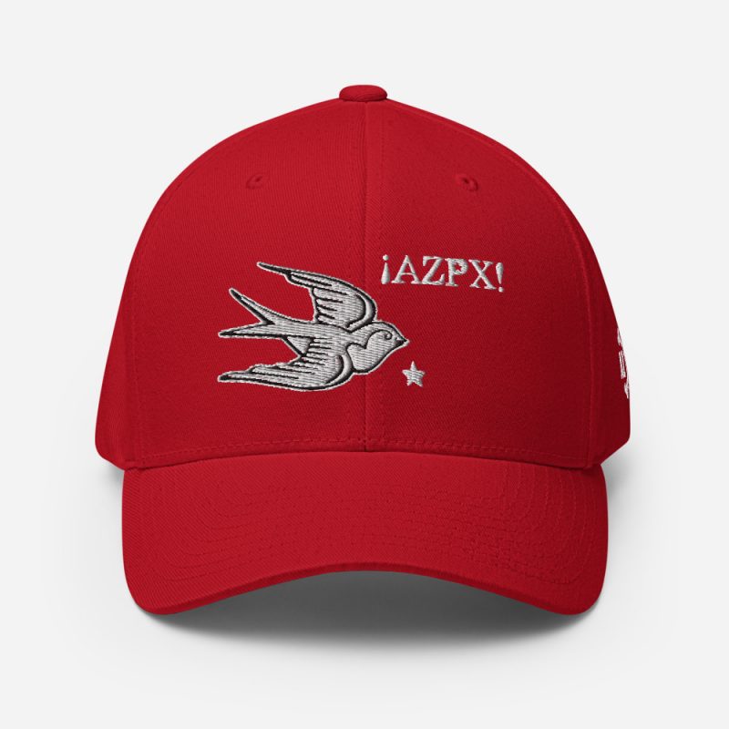 AZPX Swallow Flexfit Closed-Back Dad Hat - Image 7