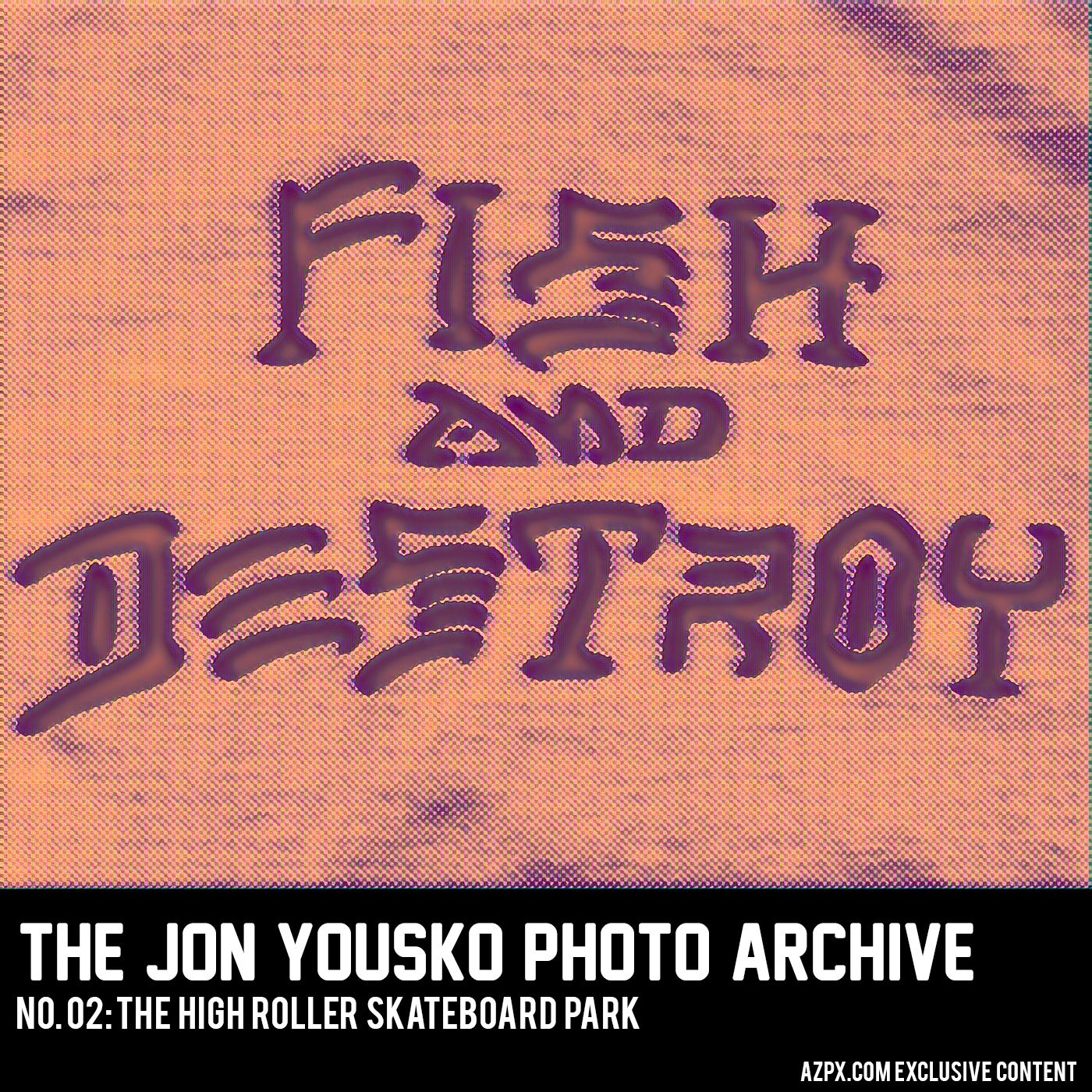 Fish and Destroy 02: The High Roller Skateboard Park – The Jon Yousko Photo Archive