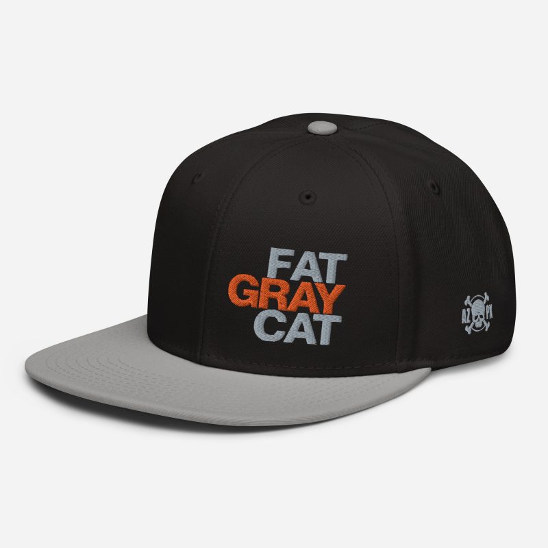 Fat Gray Cat Snapback Hat