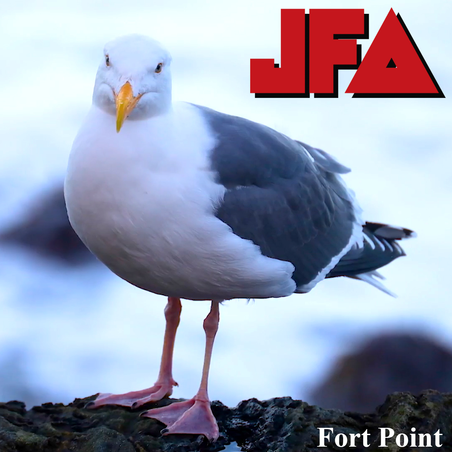 “Fort Point” – JFA’s Latest Music Video Released Today