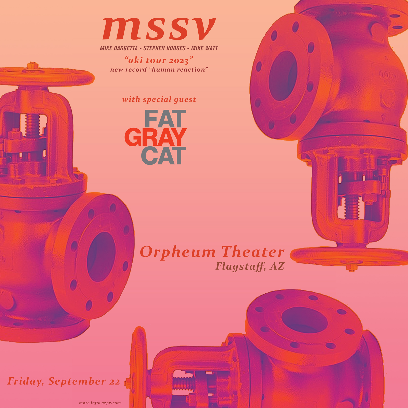 Fat Gray Cat Appearing as Special Guest for mssv in Flagstaff Friday September 22